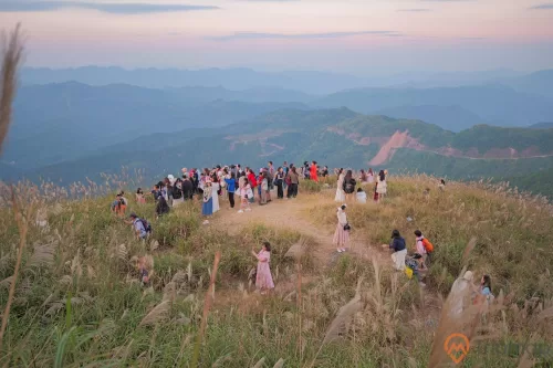 “Cháy phòng” khi Du lịch Bình Liêu mùa cỏ lau